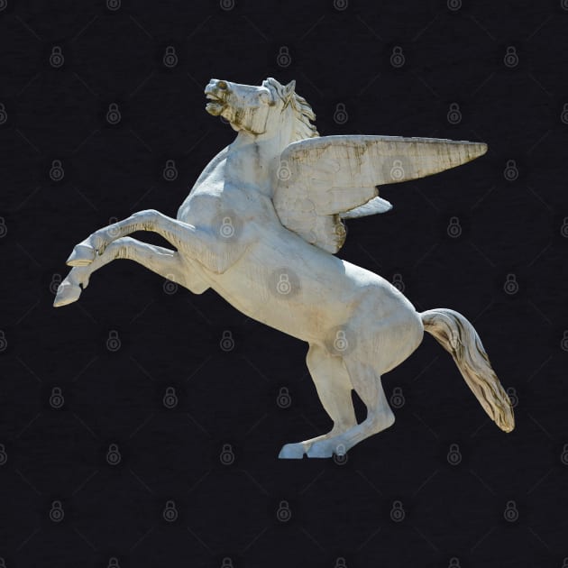 Pegasus the flying horse by dalyndigaital2@gmail.com